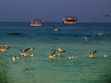 Kish Island's Must-Visit Attractions: Exploring the Island's Best Sights
