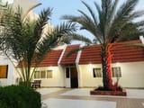 Fanoos Hotel Kish