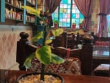 Atlas Hotel Yazd