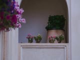 Rassas Boutique Hotel Kashan