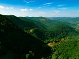 Explore Georgia with OrientTrips