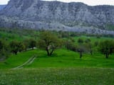 Visit Ilam in Iran