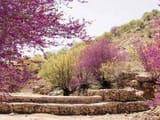 Visit Ilam in Iran