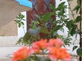 kajekohan-ecolodge-kerman