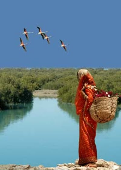 Qeshm