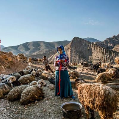 Spend a Day with the Nomads of Shiraz