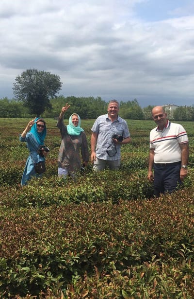 Iran Tea Tasting Tour - A Unique Journey to Lahijan