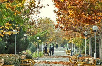 Mashhad Travel