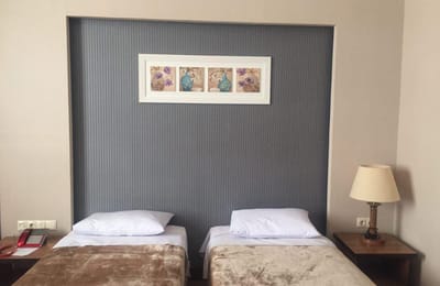 Zanbagh Hotel Yazd
