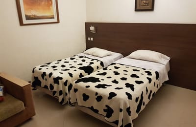 Part Hotel Isfahan