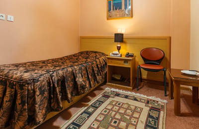 Sasan Hotel Shiraz