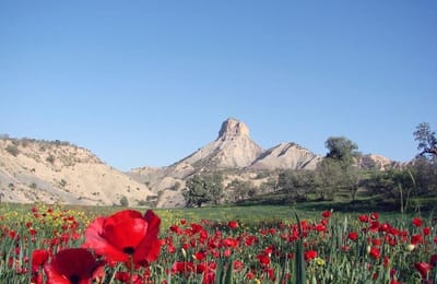 Visit Ilam in Iran
