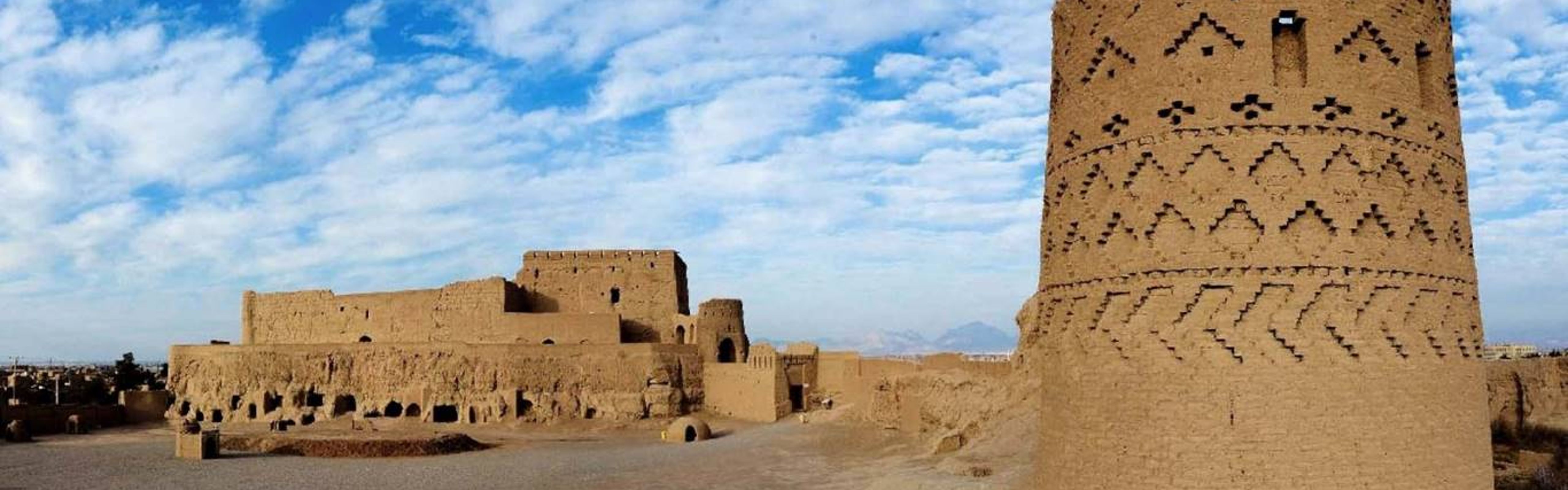One day excursion to Meybod