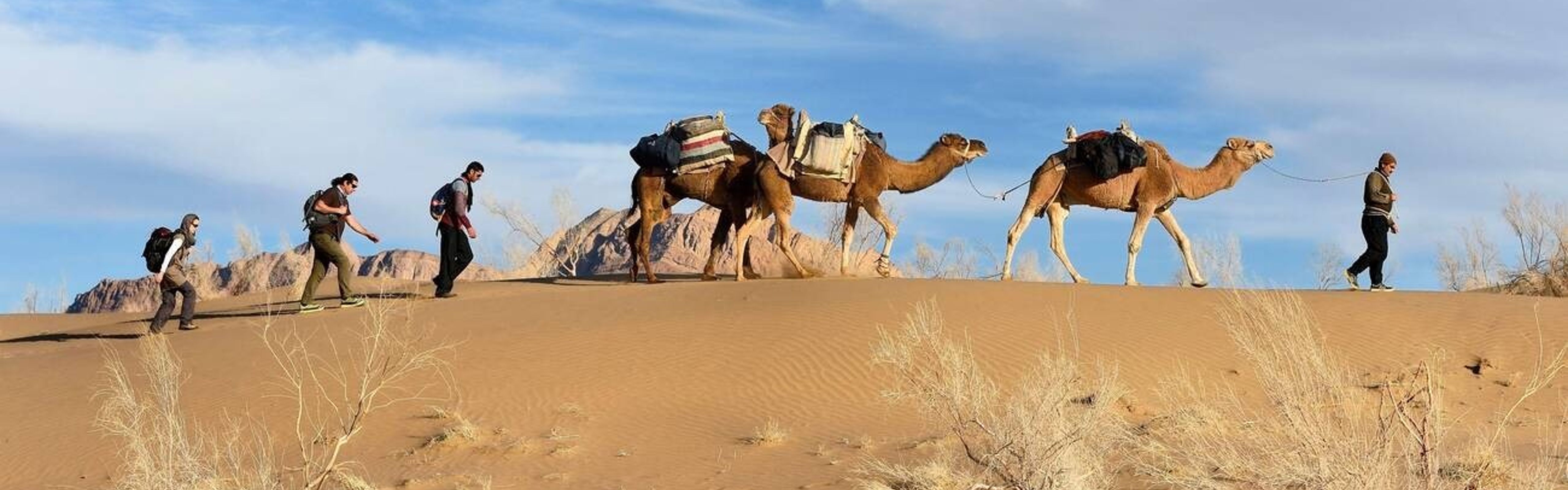 Explore the Mesr Desert with a Local Guide