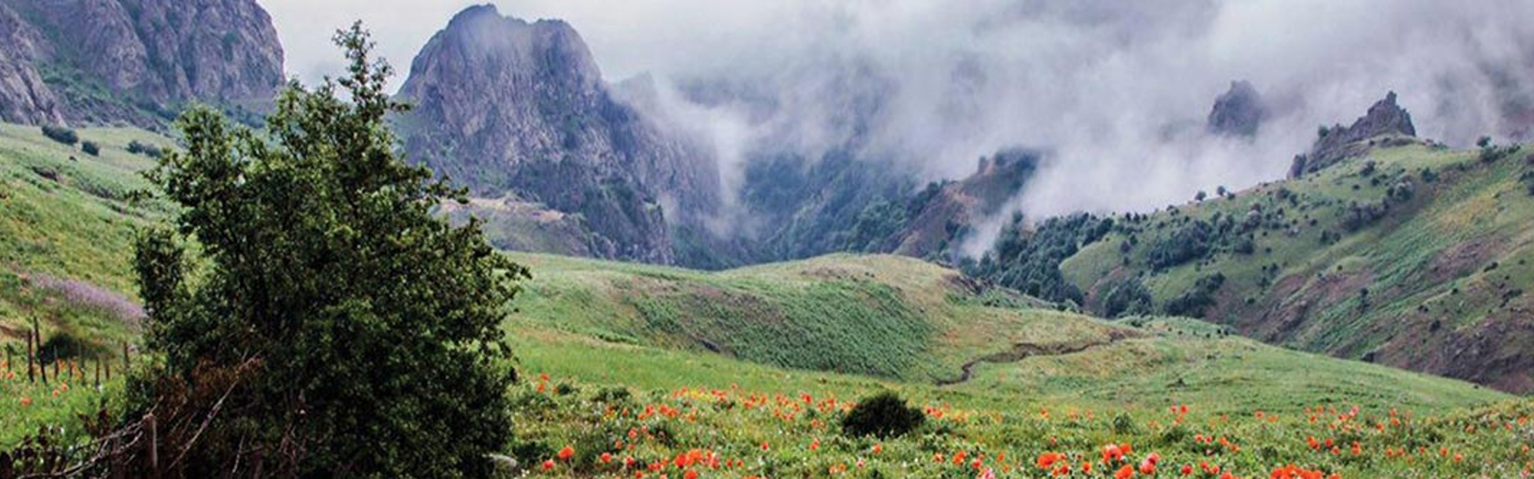 Ghasr Negin Hotel Talesh